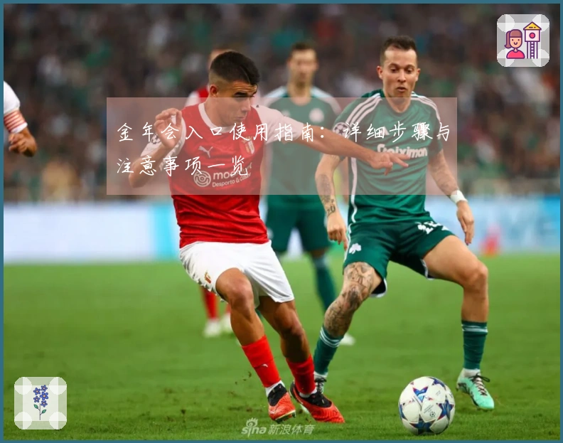 金年会入口使用指南：详细步骤与注意事项一览